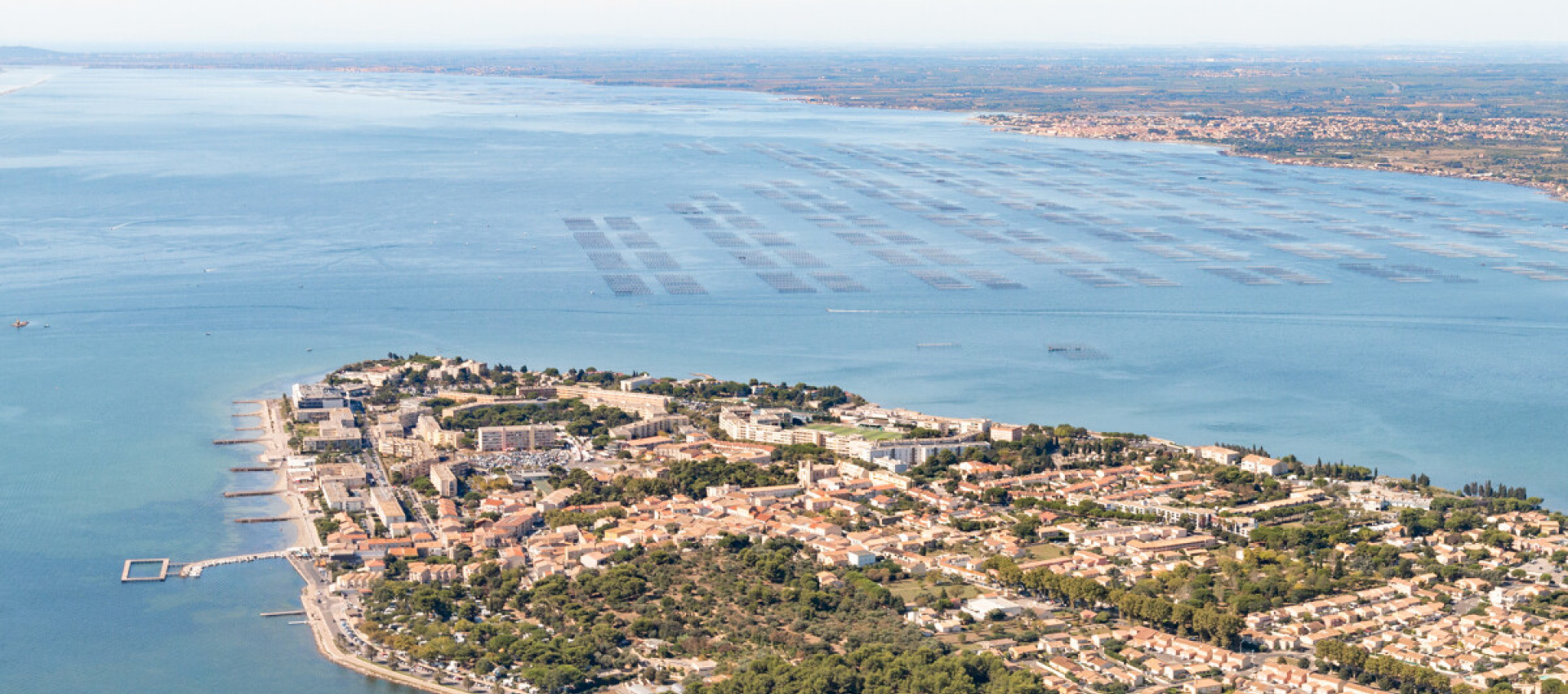 Spécialiste du terrain à bâtir et créateur de lieux de vie